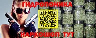 a pvp Брянск