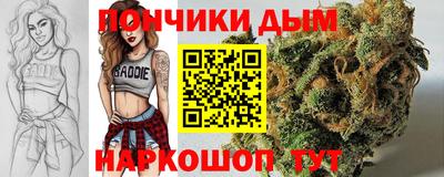спиды Боровичи