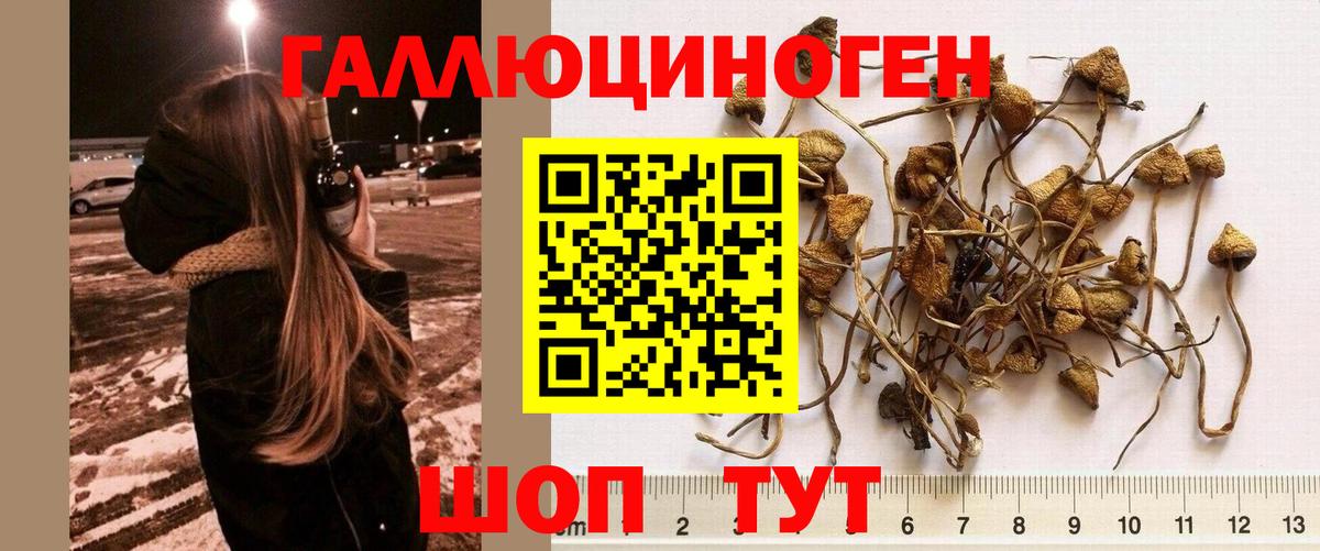 Новокубанск  Галлюциногенные грибы мухоморы  Вход с VPN  Галлюциногенные грибы прущие грибы 