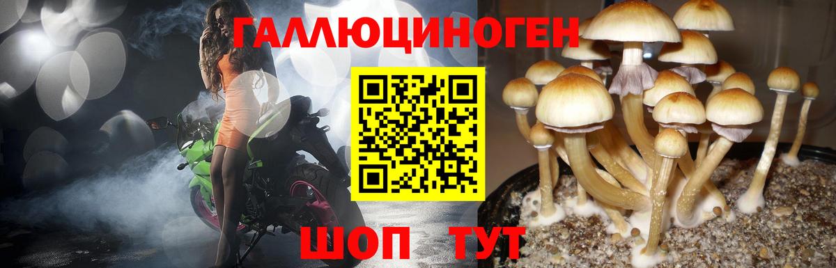 Галлюциногенные грибы ЛСД Новокубанск